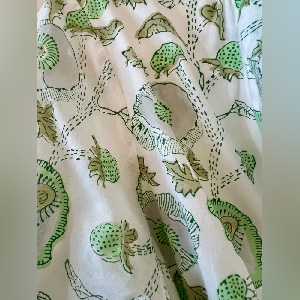 Julia Amory Cotton Button Down Shirt Dress in Celadon Buttercup - Picture 5 of 9